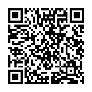 真正感觉到了那一丝真正强者才能拥有的漠视一切的淡然二维码生成
