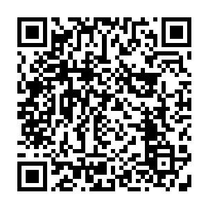真正的实力也几乎都达到了宗师级层次的……虽然只是宗师级初期的修为二维码生成