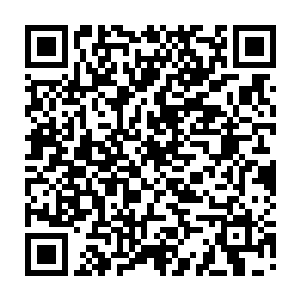 真诚到他们根本就无法想象到眼前的这个小子会是杀了无数尸阴宗弟子的人二维码生成