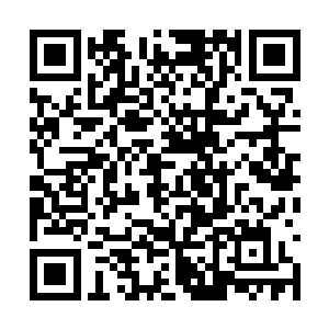 眼前仿佛又晃过了米晴雪她们那些楚宫中的女圣人二维码生成