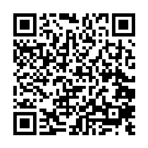 眼前这个女子上边只穿了一件半旧的白色圆领大体恤二维码生成