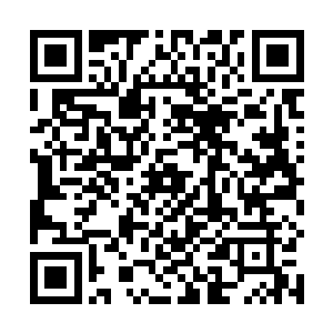 眼泪冰冰凉凉的……老师已经离开了……从昨晚到今天二维码生成