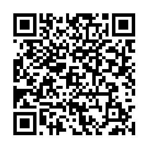 眼看着旱地沙鸟兽的爪子要攻击到江帆头部的时候二维码生成