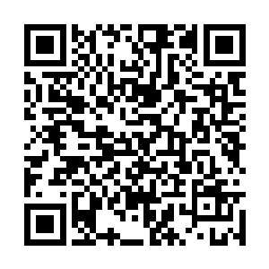 眼睁睁地看着太子一党的力量渐渐被燕王蚕食鲸吞二维码生成