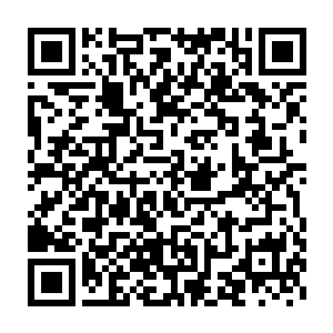 眼神也是立即转移到了身旁同样躺在那里不敢动弹的表弟黄毛的身上二维码生成