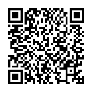 眼见一路摇摇晃晃逃窜的黑衣人从后门进入了一处小院中二维码生成