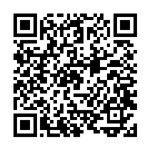 眼见着熙熙攘攘的人群跟上战场似的杀向几个检票口二维码生成