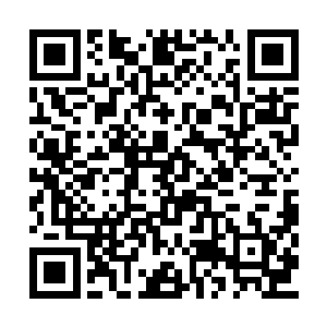 睡在她身侧的裴溪远却小心地从她身上收回胳膊二维码生成