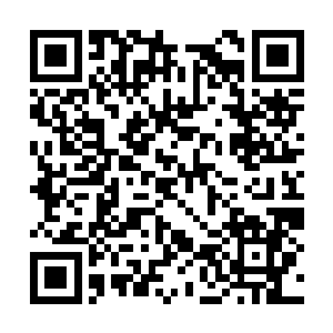 睫毛弯弯会根据叶迷们热门的一些发言在下面留言二维码生成