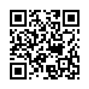 瞄准万米高空急速飞翔的鸿雁二维码生成