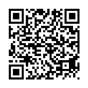瞬息间调动了整个大杨疆域的力量二维码生成