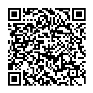 瞬间便在一阵阵剧烈的撞击声和轰鸣声中被那三个犀牛精的身体给生生撞碎二维码生成