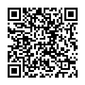 瞬间剩下的五道身影直接硬生生的被从虚空中拽了回来二维码生成