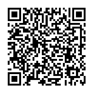 瞬间只见原本光洁的断龙石石门之上在杨戬拳头落下的地方出现了一条缝隙二维码生成