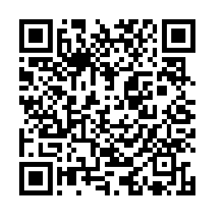 瞬间就能将九天圣地改造成不逊于星界宗门的洞天福地二维码生成