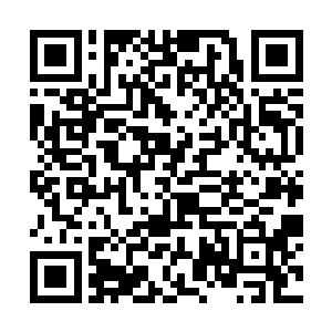 瞬间就认出这东西正是有着沙中霸主之称的沙龙兽了二维码生成
