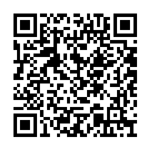 瞬间我看到了萧子卓那飞快浸入五脏六腑的剧毒二维码生成