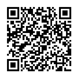 瞬间洛离就知道下边共有二万四千二百六十一名修士二维码生成