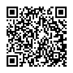 瞿老爷子的情况先前的时候医院方面已经做了检查二维码生成