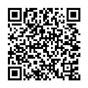 矢量分析和虚拟现实的实现提供了硬件基础……二维码生成