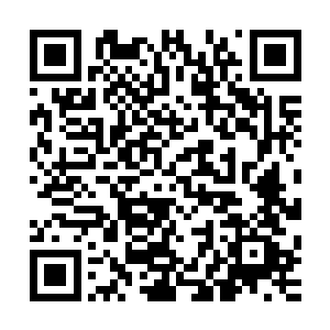 知道了他们停下来的原因是因为曾经的刺杀和误伤的本能反应二维码生成