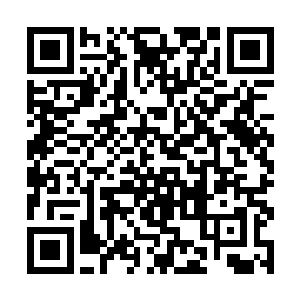 知道如果自己不先驱除掉导致细胞活力丧失的那种慢二维码生成