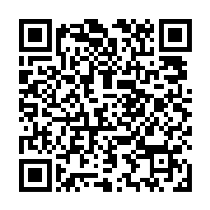 石田阳平和羽田爱并不是最后一个来山本五十七家的人二维码生成