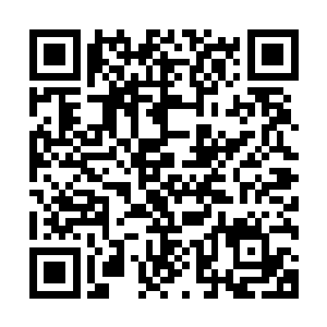 石门的材质和宫殿第二层那扇用來当做珍宝室的大门一模一样二维码生成