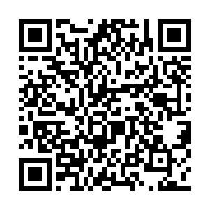 硬是没发现曾毅对哪个文官有特殊的关注和接触二维码生成