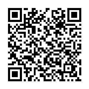 确认没有注意到什么身上冒着代表敌意的红光之后二维码生成