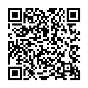 碧月夫人如一片枯叶在强悍漫卷法力中身不由己地翻飞二维码生成