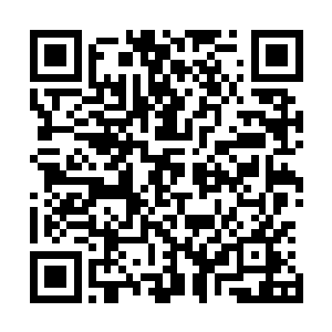 示意她带着那些已经只剩下枯萎茎秆的前野花跟他一起进去二维码生成