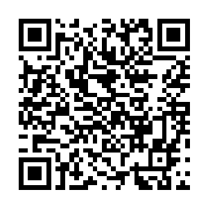 礼堂内的记者已经因为宇天的这个主题公园计划给吓蒙了二维码生成