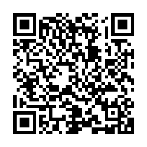 社会也不可能物质极大丰富到学者想做啥实验就做啥实验的程度二维码生成