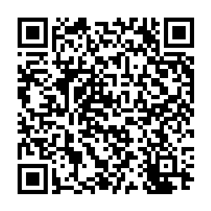 祝天养越觉得边学道和自己父亲祝海山非常像都拥有某种神秘的预知能力二维码生成