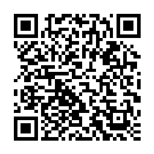 祝家的圣域强者统统被一个七品帝国大晋国的圣域天才干掉了二维码生成