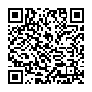 神兽家族和天启之旅的事情都详细的给金光讲了一遍二维码生成