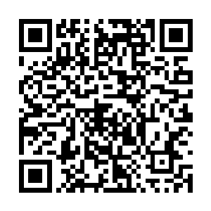 祭司大人还会带着他的弟子们给生病的人看病疗伤二维码生成