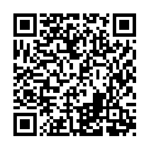 禁卫军的人和集贤殿的学子此刻全都欢呼了起来二维码生成