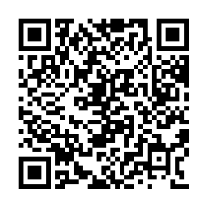 秋雁芙之前跟着秋氏一起去泰宁侯府做客的时候二维码生成