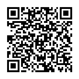 种植布控在了这片方圆约五十里大小的坑谷之地内二维码生成