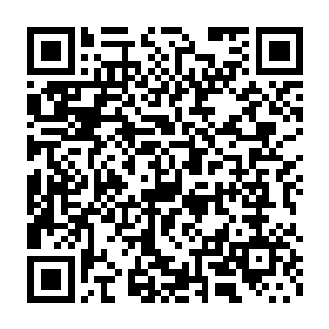 秦大师您不是要拿出六品宗师的心得笔记给来参加的嘉宾们观看吗二维码生成