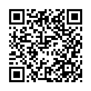 秦夫人的实力……看起来只是星辰境初阶二维码生成