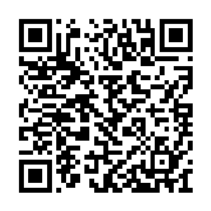 秦宇便是看到从门卫室内冲出来一个一道小身影二维码生成