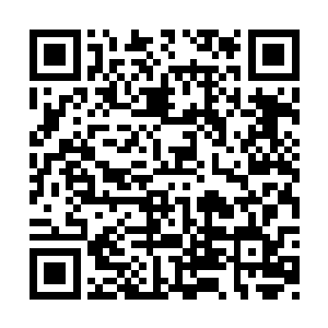 秦宇小时候依然是像跟屁虫一样的跟在秦岚身后二维码生成