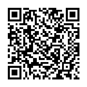 秦宇手中的这柄青色长剑给他们的威胁实在是太大了二维码生成