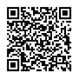 秦宇明白眼前的处境容不得他和这千足虫对峙下去二维码生成