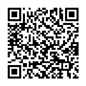 秦宇的脑海中第一个浮现的念头是谁吃了雄心豹子胆二维码生成