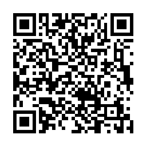 秦宇身躯的其他任何部分都已经是和绿雾人没有任何的区别二维码生成