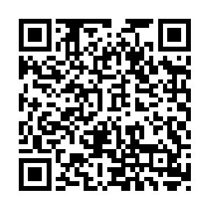 秦宇边走边给孟瑶讲述了和莫家姐弟相识的情形二维码生成